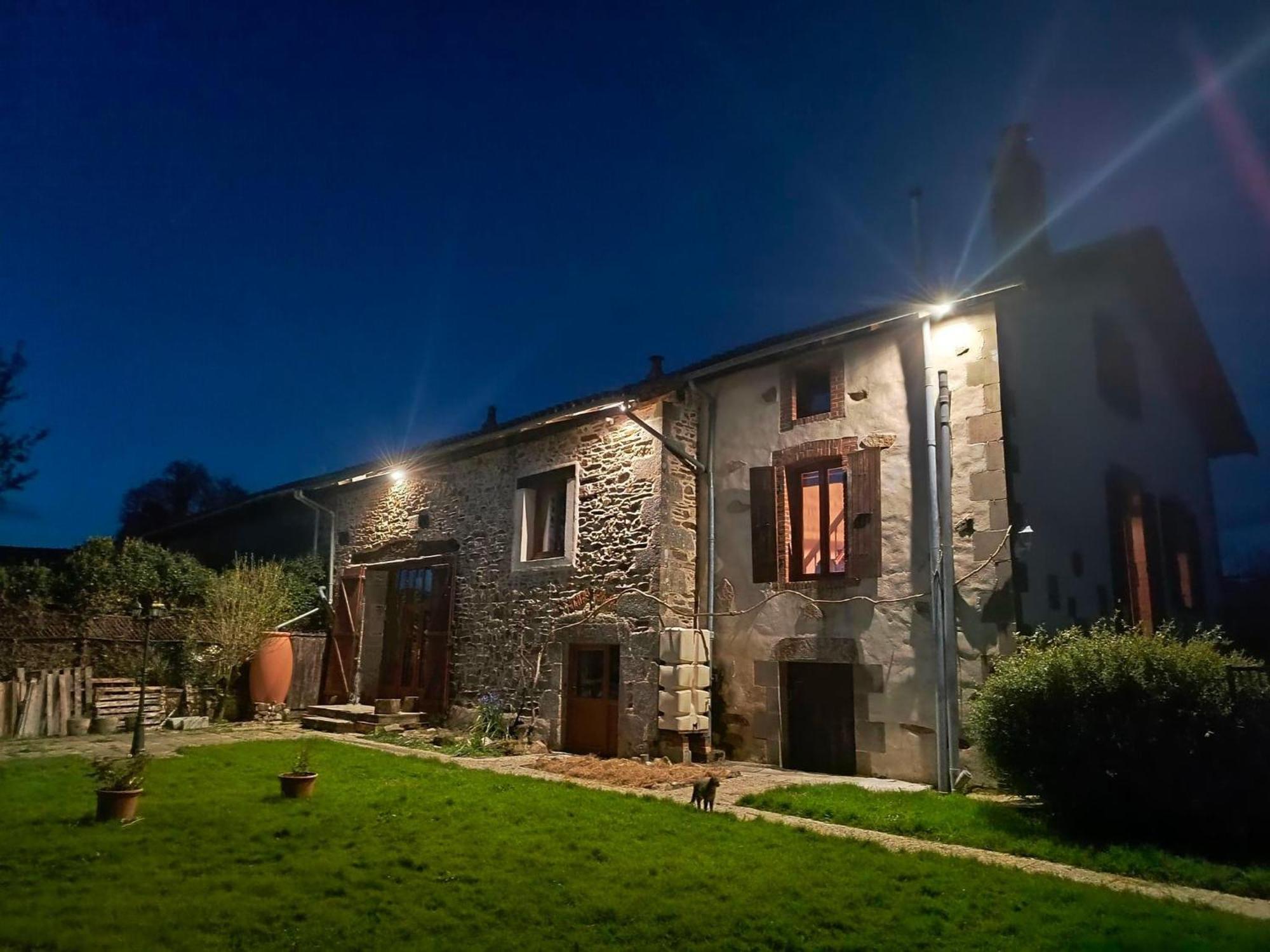 L'olive Saint-Bazile